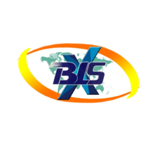  BLSX Limited